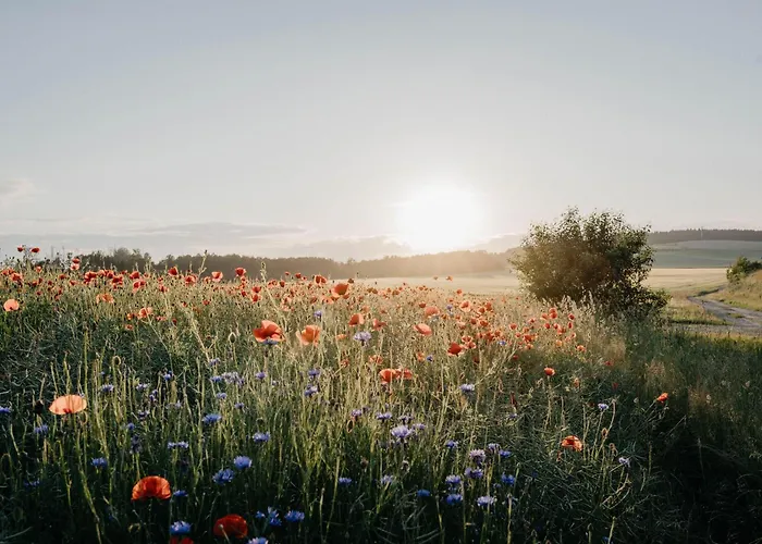 Auszeit Domizile Apartman Sebnitz